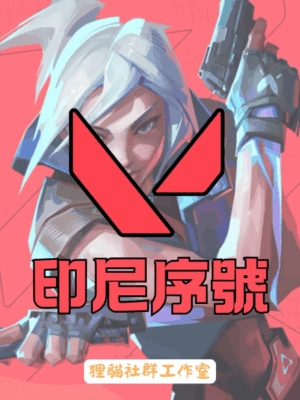 VALORANT 特務幣(印尼)